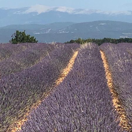 Provence Luberon Bonnieux Location Gite Chez Marcelle Exteriör bild