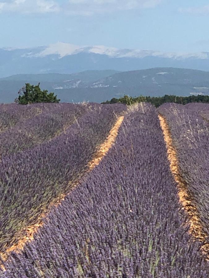 Provence Luberon Bonnieux Location Gite Chez Marcelle Exteriör bild
